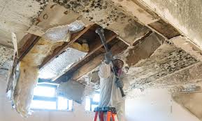 Best Mold Prevention Services  in Glenpool, OK